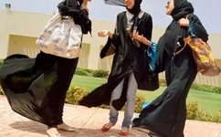 3d豪情字幕文件